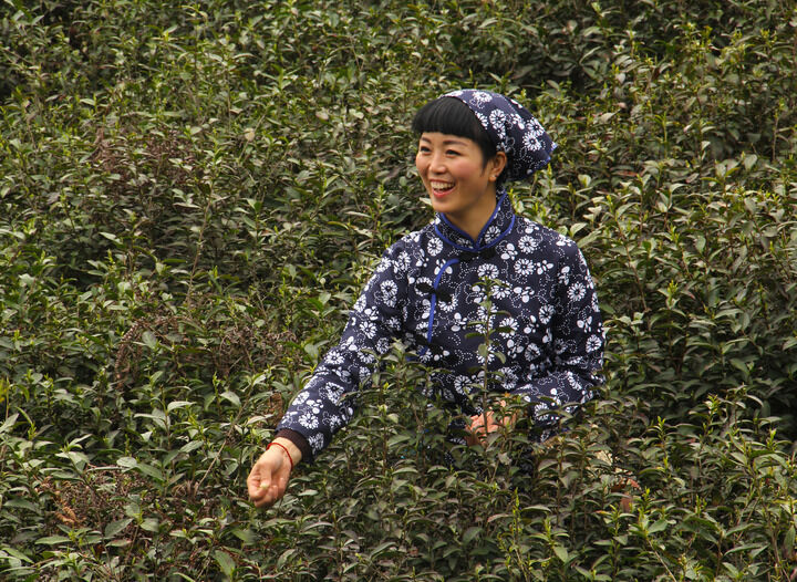 梦连直播热门1